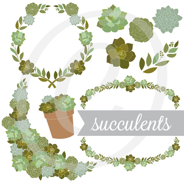 Succulents2